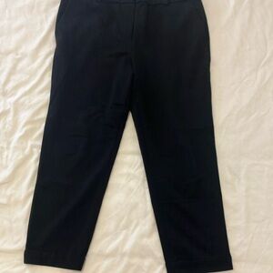 LOFT Black Ankle Cropped Pants - Devin Slim - Size 14